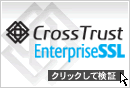 日本CrossTrrust