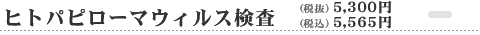 ヒトパピローマウィルス検査　5,565円